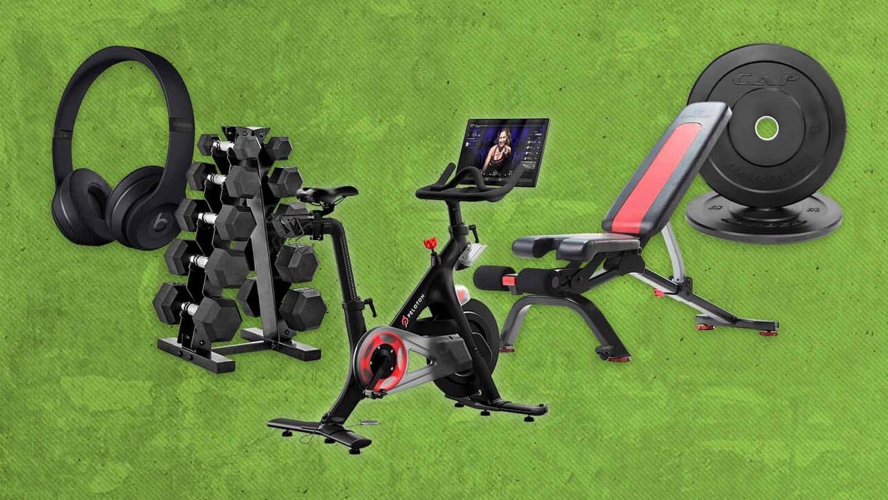 Fitness equipment suspended in a green space