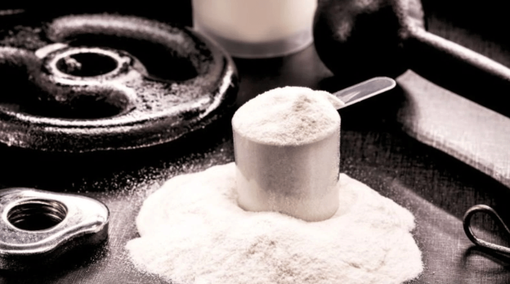 A picture of white whey protein in a scooper.